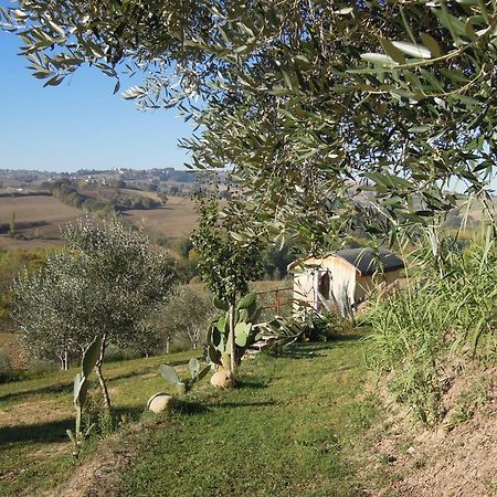 La Luna Nell'Orto-Casa Vacanza Ecologica E Agricoltura Biodinamica Barchi Exterior photo