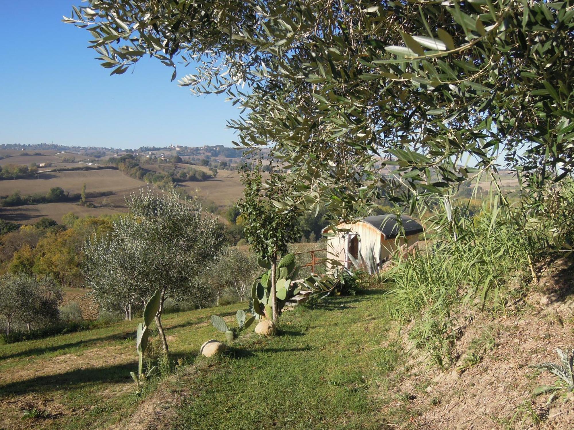 La Luna Nell'Orto-Casa Vacanza Ecologica E Agricoltura Biodinamica Barchi Exterior photo